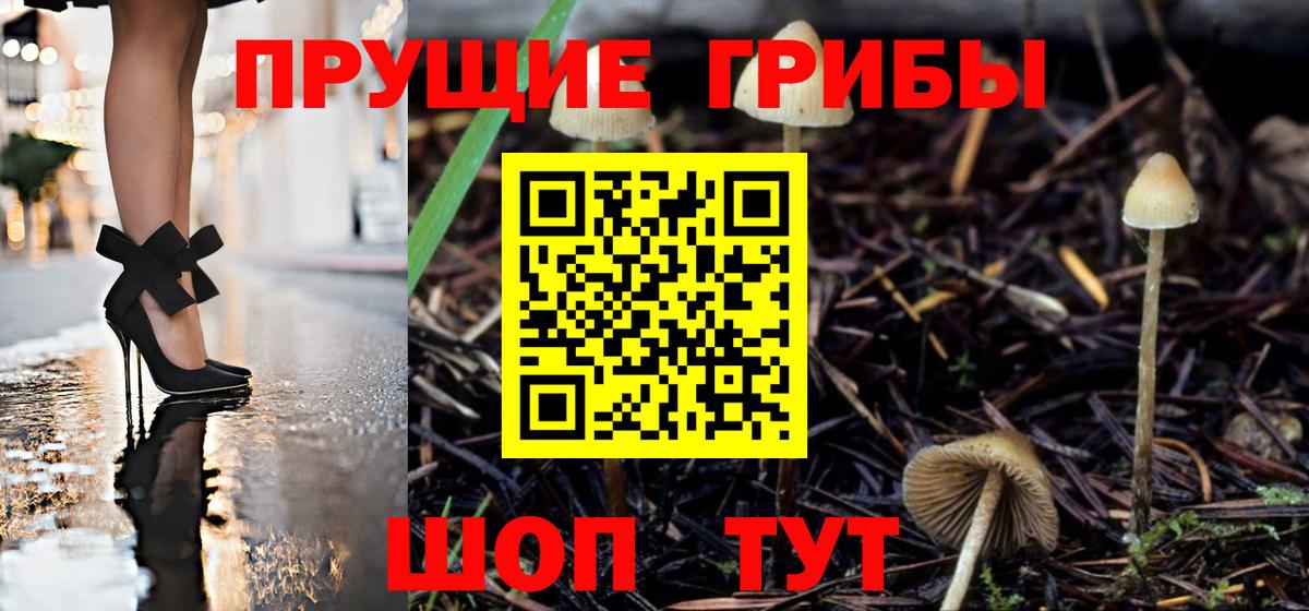 Шарыпово  Псилоцибиновые грибы мухоморы  Вход с VPN 