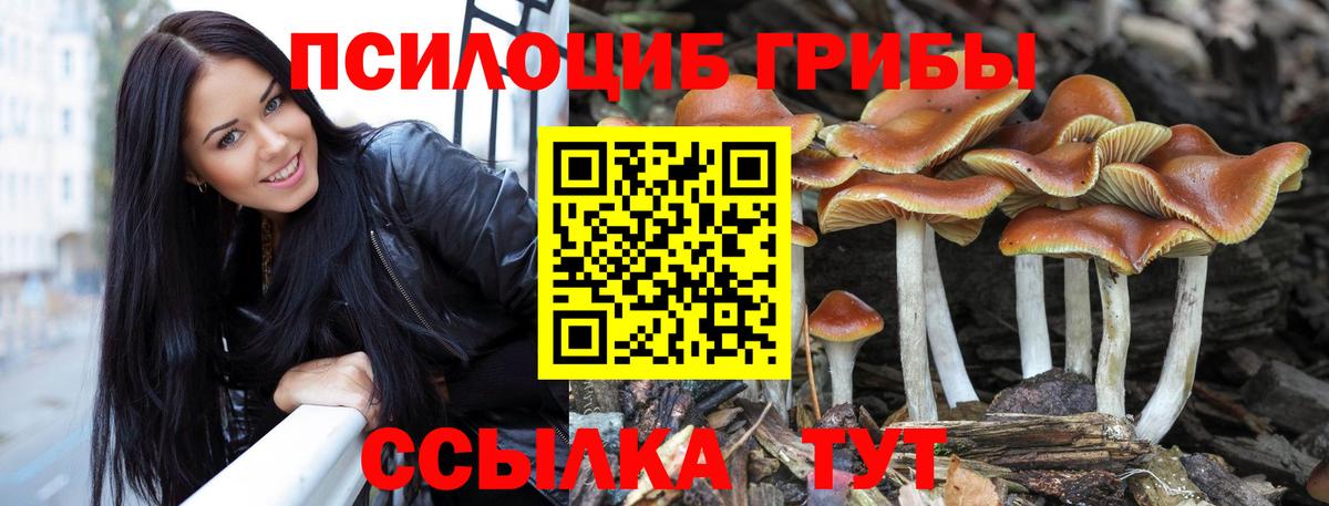Псилоцибиновые грибы ЛСД Шарыпово